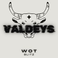 valdeys.official