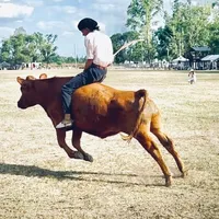 original sound - maxiocampo