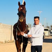 mohamed.rakha4