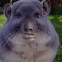 its_adrian313