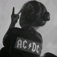 original sound - hull_bibex09