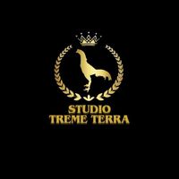 studiotremeterra