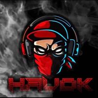 havok_vrc