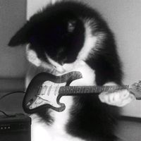 original sound