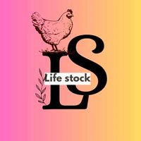 lifestock2