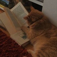 rs.readers