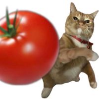 i._.dont._.know.__.3