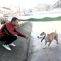 perandori_11