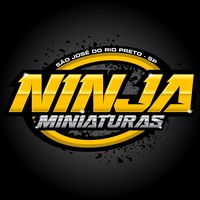 ninja_miniatura