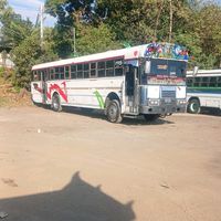 www.tiktokoscaritotours