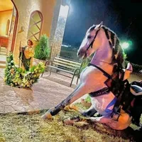 original sound - cuartodemilla03