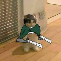 levi.beep