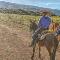 joao_neto_moreira_00