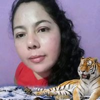 catracha768