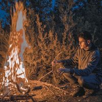 الصوت الأصلي