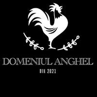 domeniulanghel
