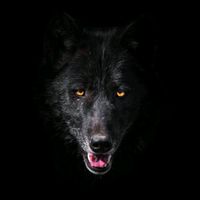 оригінальний звук