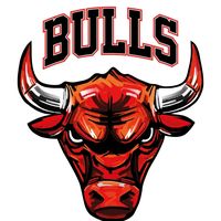 bullsscz