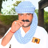 bhattiisbrand785