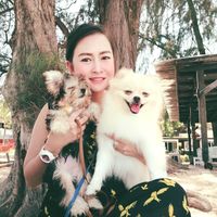 เสียงต้นฉบับ - Koy Zung
