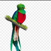 original sound - victormusic01