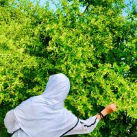 الصوت الأصلي