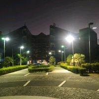elaynearauz