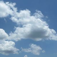 เสียงต้นฉบับ - N