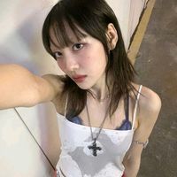 fancamszip