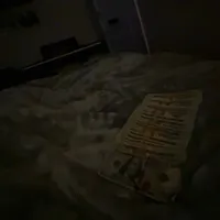 Ivy Frank Ocean Spedup