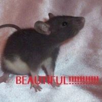 made 4 u