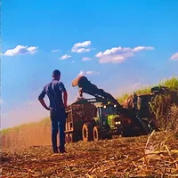 original sound - lucasborges012