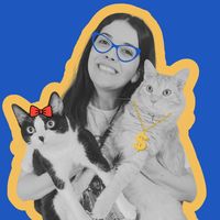 .mariadosgatos