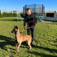 veniamincristianoloieri