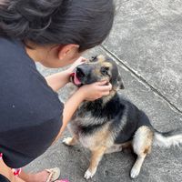 original sound - Bannin