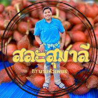 เสียงต้นฉบับ - สวนสละ By.นายหัวเพชร
