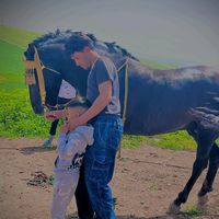 rachidjanan2