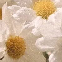 original sound - cartaspravoceb