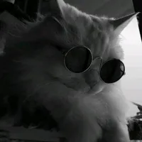 original sound - 99cybe99