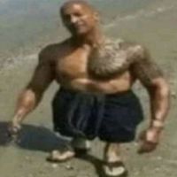 the_roxttr