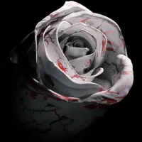 original sound - yovng_s4vage