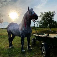 bombă de melodie pentru toți geambași