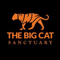 original sound - TheBigCatSanctuary