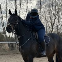 dźwięk oryginalny