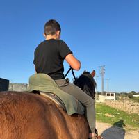 jose_.123451