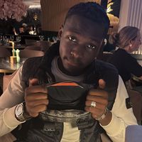 isbi_2z