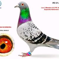 cristian87laurentiu