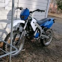 derbimies31
