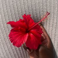 _itsamina5