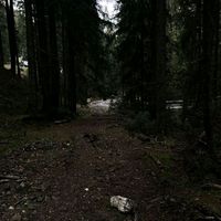 alle_centaur1